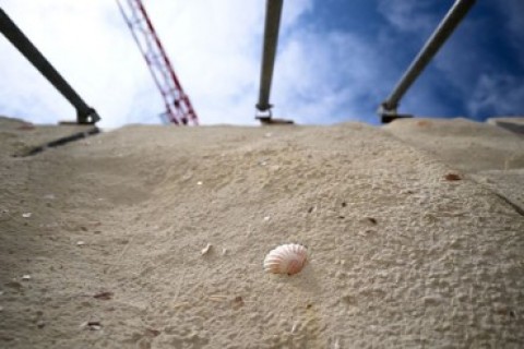 Béton beige à base de coquilles Saint-Jacques recyclées